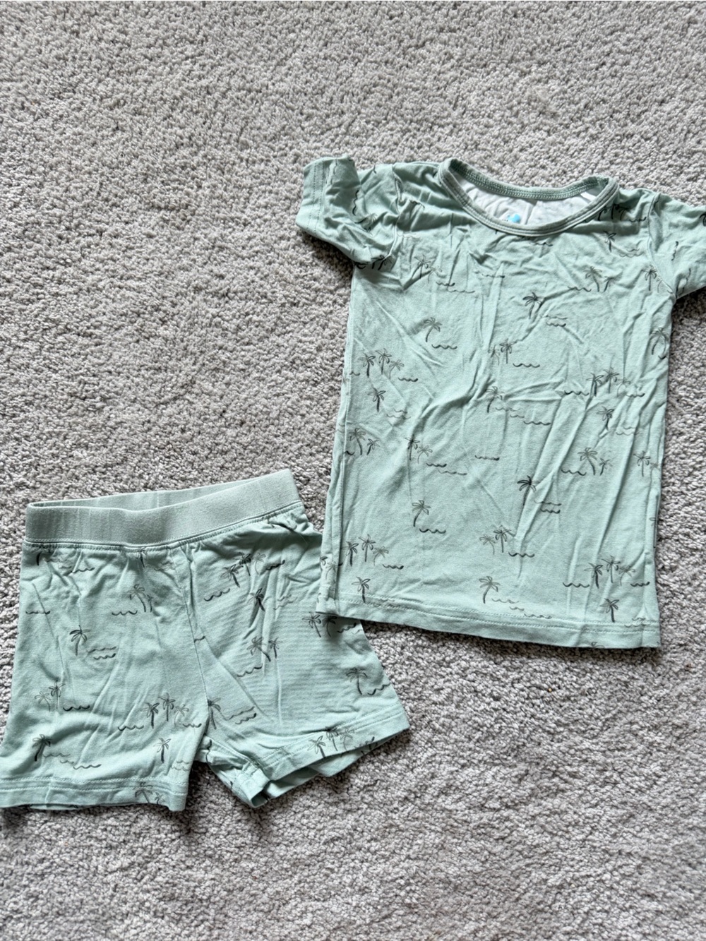Little One Shop Mint Green Beach Bamboo Short Sleeve Top and Shorts Set 12-18M